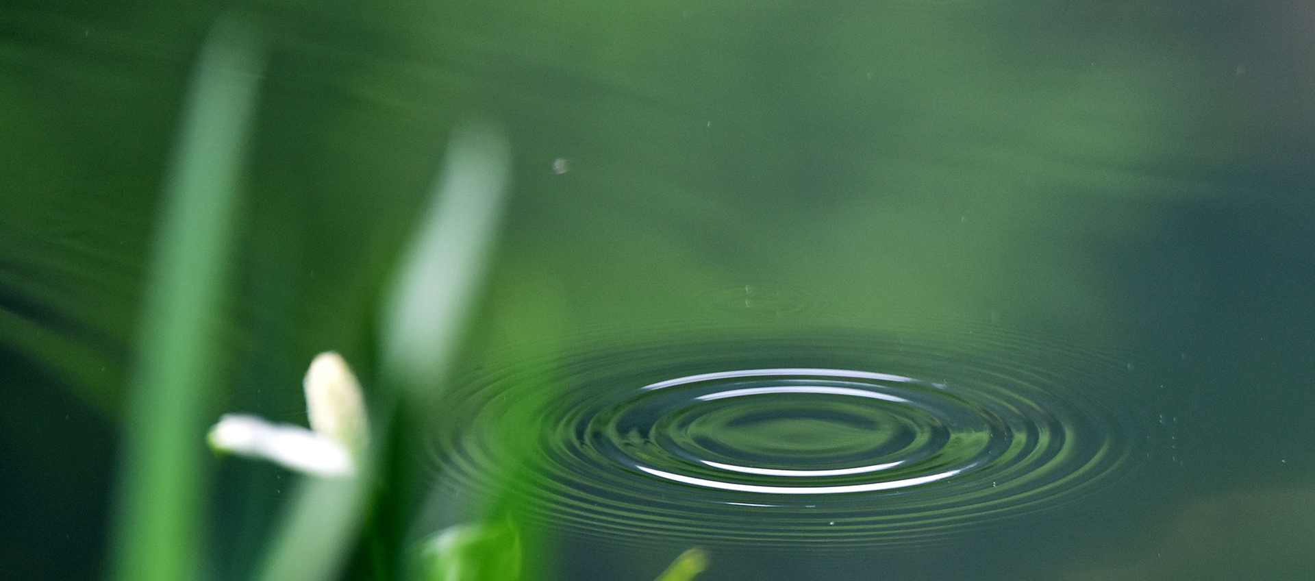 Banner Giới thiệu